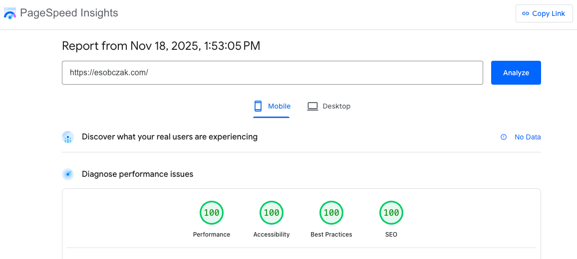 PageSpeed Insights results showing 100 performance score